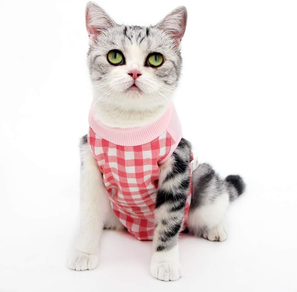 HEYWEAN Cat Professional Surgical Recovery Suit for Abdominal Wounds Skin Conditions, After Surgery Wear, E-Collar Alternative for Cats, Home Indoor Pets Clothing