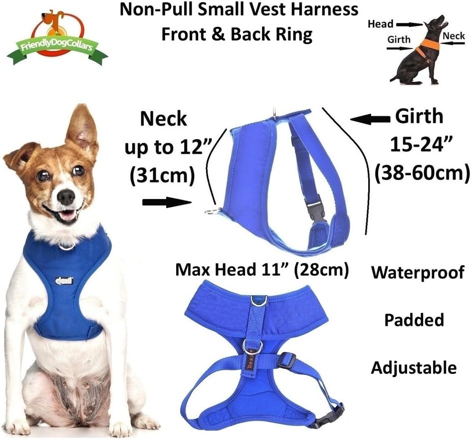 Dexil Elite Range Padded Waterproof Adjustable Back and Front Ring Non-Pull Small Pet Dog Vest Harness (Royal Blue, Small 36-58cm Chest) - Image 4