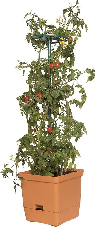 Hydrofarm GCTT Torre para Tomate de 1 m: Amazon.es: Jardín