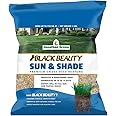Jonathan Green (12001) Black Beauty Sun & Shade Grass Seed - Cool Season Lawn Seed (1 lb)