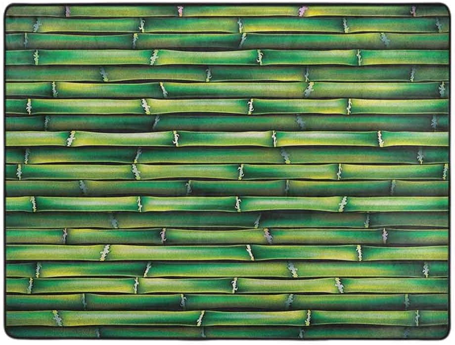 Bamboo Area Rug, Image of Horizontal Bamboo Tree Stems Zen Style Image of Nature Inspired, 6' x