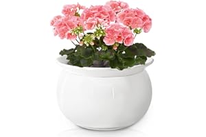 LITUDISO African Violet Pots, 6 Inch Self Watering Pots for Indoor Plants, Self Watering Plant Pot, Easy Plant Self Watering Pot, Ceramic Plant Pot with Absorbent Inner Pot for Flowers-White