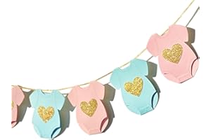 LETJOLT Blue Pink Baby Shower Paper Garland Short-Sleeve Bodysuits Clothesline Garland Gender Reveal Birthday Banner Baby Outfit Paper Decorations 9 pcs