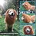 RWM Dog Lion Mane Costume - Pet Wig Clothes for Halloween Party - Lion Wig for Medium to Large Sized Dogs Lion Mane Funny Dogs