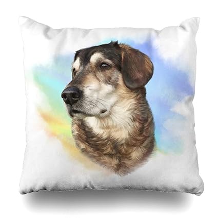 Amazon Com Ahawoso Throw Pillow Cover Watercolor Celebration