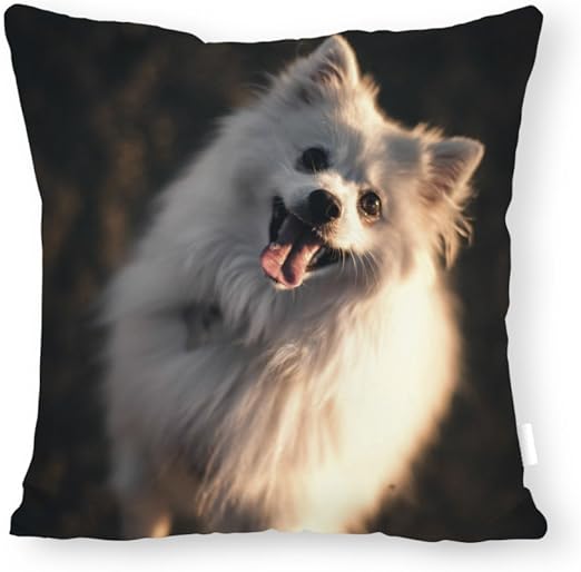dog fur pillow