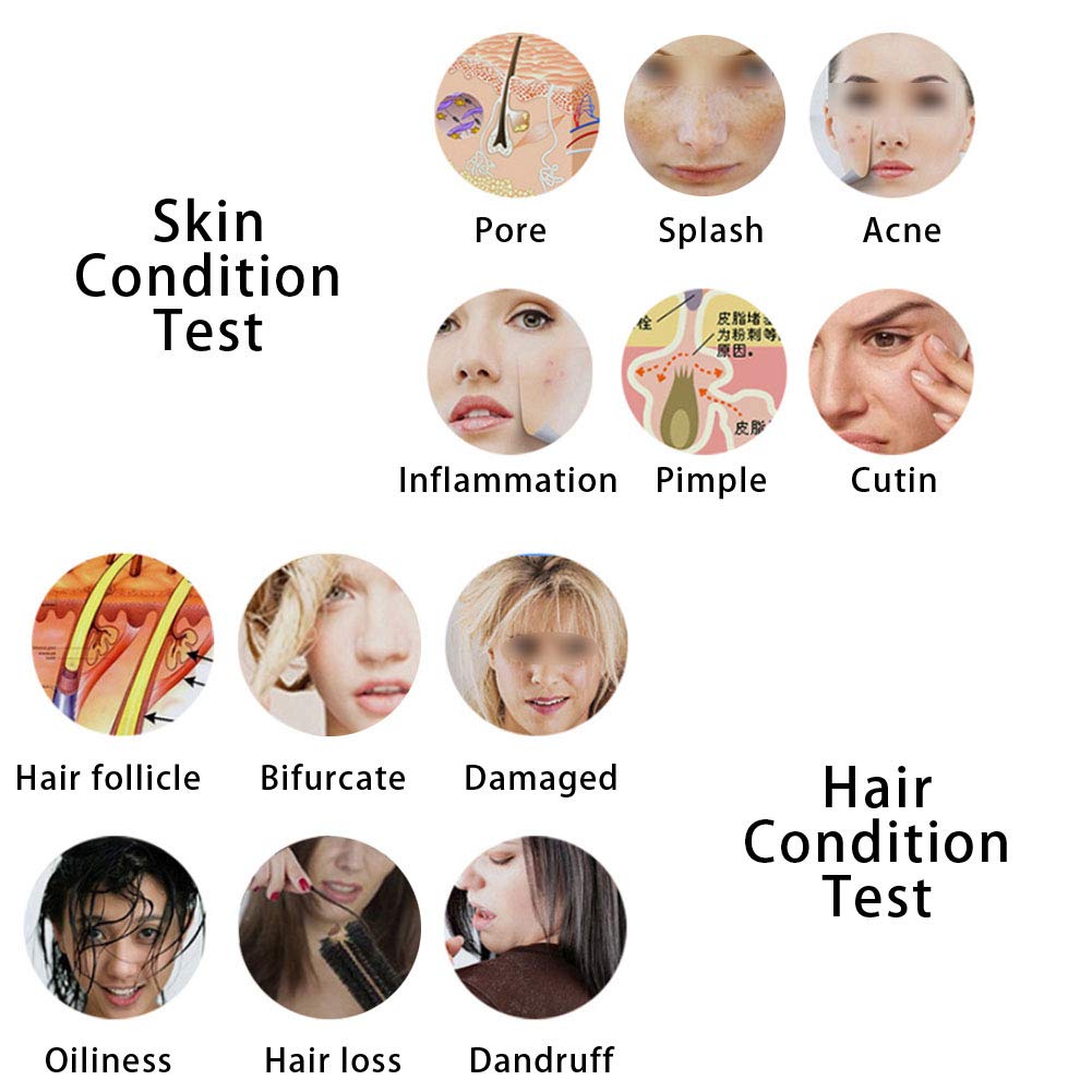 Skin Hair Analyser,5 in 50X/200xLens LCD Digital Microscope Rechargeable Portable Scalp Detector Scanner Professional Scalp Hair Follicle Oil Moisture Magnifying Detector Skin Pigment Tester,US