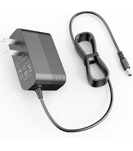 Amazon.com: IOKOFJOA 26V Charger for 22.2V Battery Vacuum Cleaner