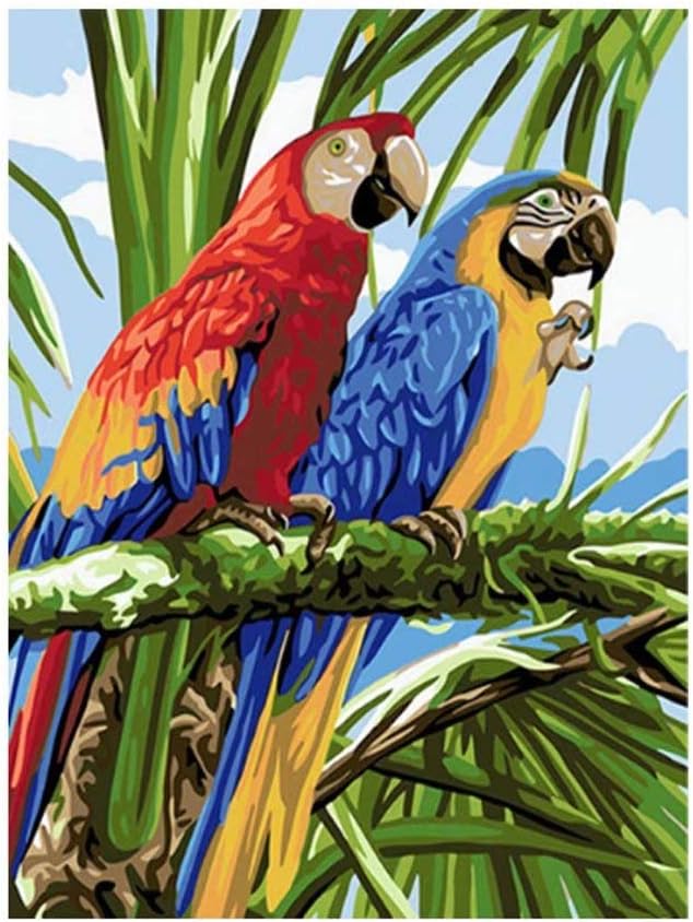 Paint by Numbers for Adults Beginner Parrot DIY Painting Paint by Numbers Kits on Linen Canvas