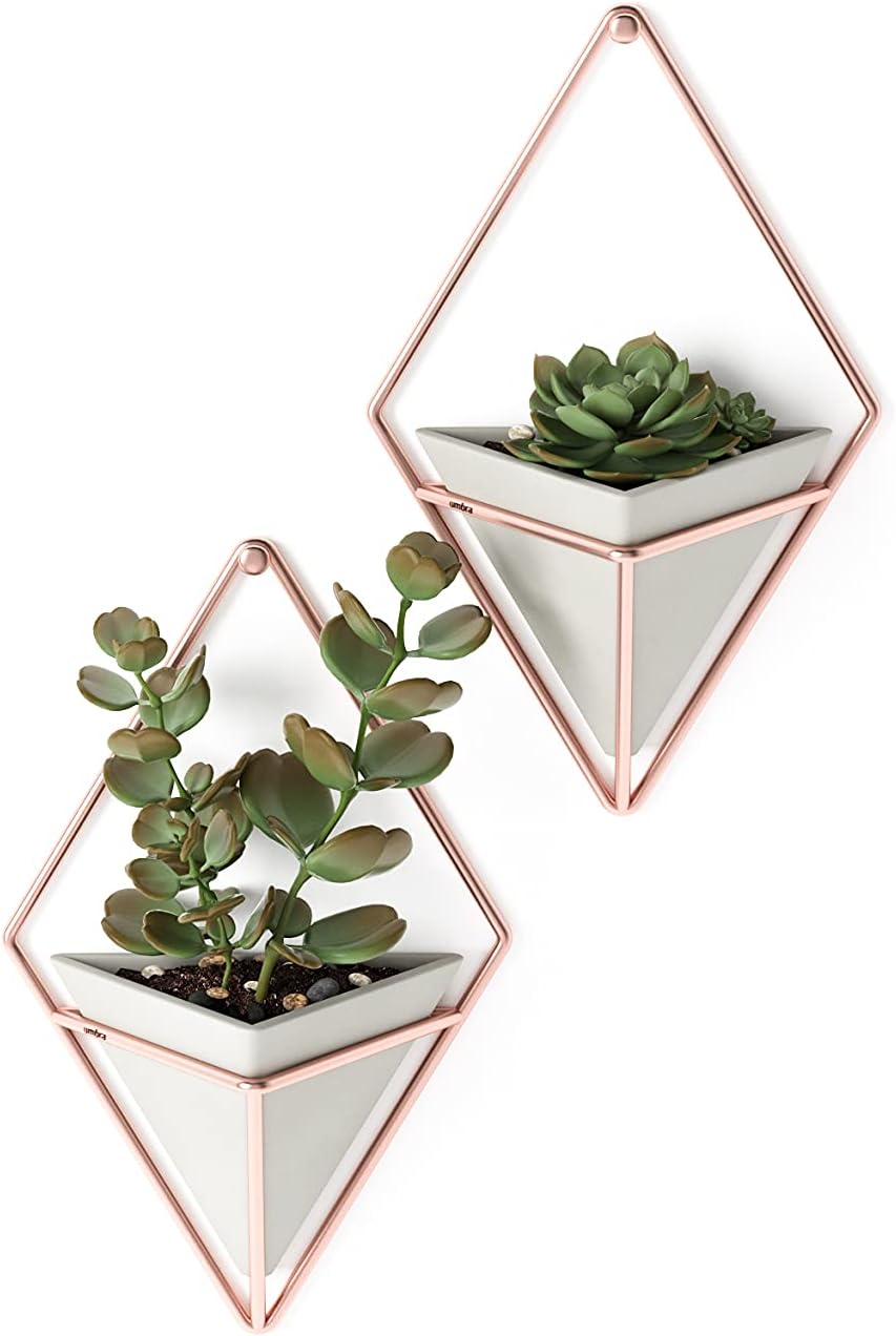 Umbra Trigg Small Set of 2 Concrete Wall Planters - Modern Decor