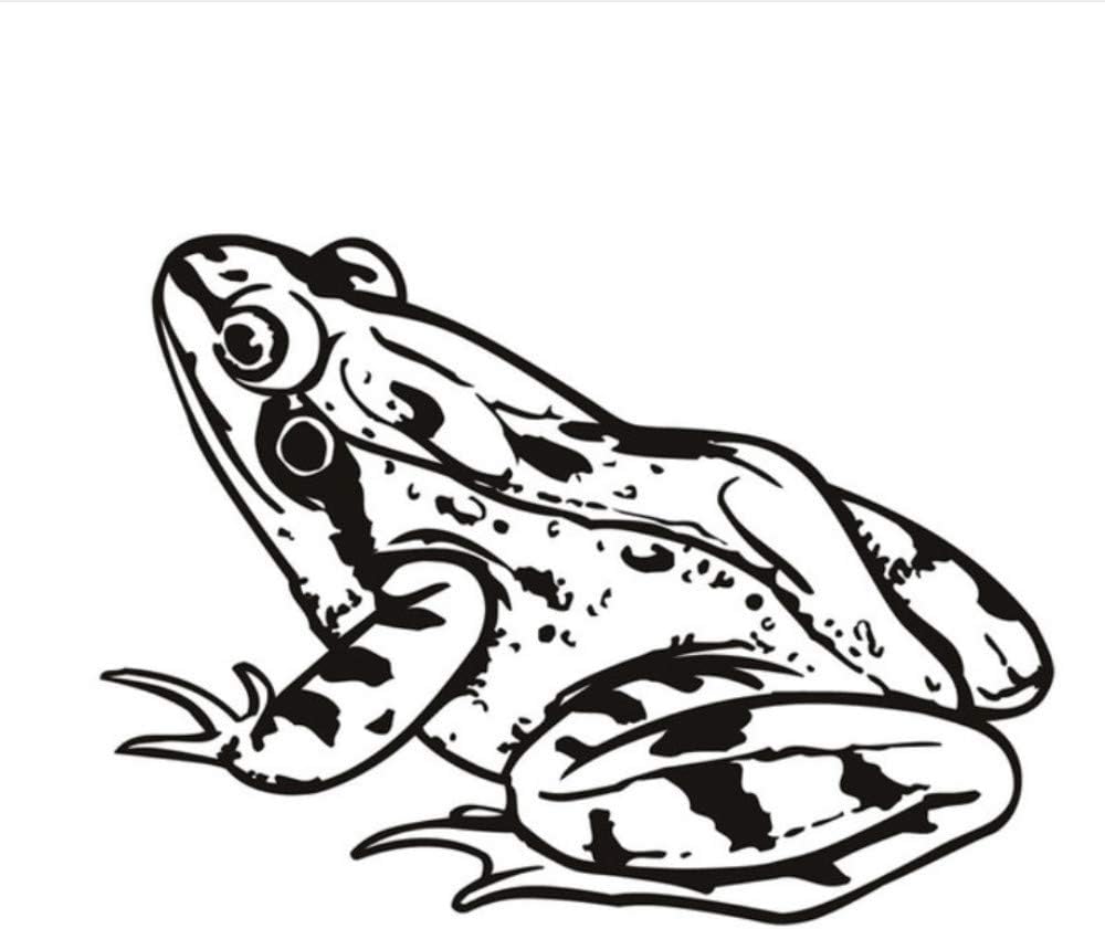 Hwhz 43X60 cm Vinyl Removable Toad Sitting Baby Girls Bedroom Wall Sticker Frog Animal Home Decor