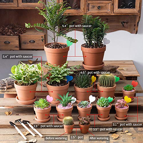 Terra Cotta Pots with Saucer- 17-Pack Clay Flower Pots with Saucers, Mini Flower Pot Planters for Indoor, Outdoor Plant, Succulent Display, Great for Plants,Crafts,Wedding Favor(3.1 inches)