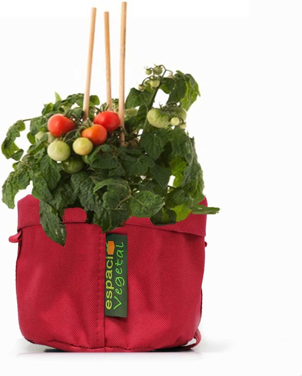 Kit cultivo Tomates Cherry. TÓMATE TU TIEMPO.: Amazon.es: Jardín
