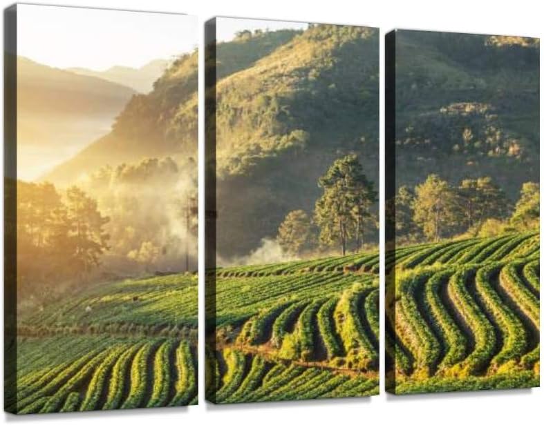 Best Terraced Strawberry Garden Bed