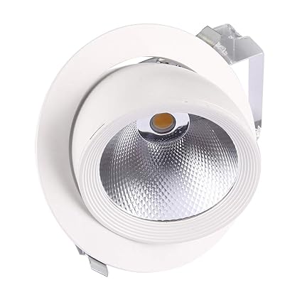 Nsk Downlight Llp 30w Warm White Cob Led Down Light 2700lm 360