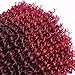 Passion Twist Hair - 8 Inch 9 Small Bundles Afro Curly Crochet Braiding Hair for Black Women, Ombre Curly Crochet Braids Hair Synthetic Water Wave Braiding Hair Extensions (9 Bundles, 1B/BUG)