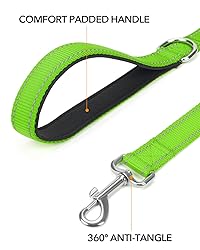 Taglory Dog Leash for Small Dogs, Double-Sided
