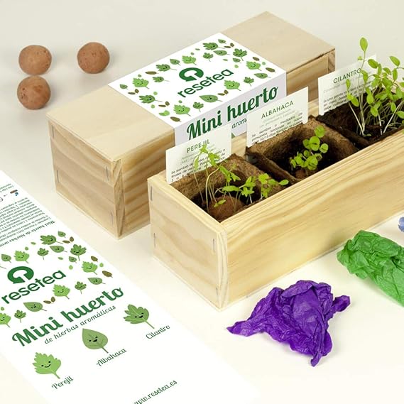 Resetea Minihuerto de hierbas aromáticas: Amazon.es: Jardín
