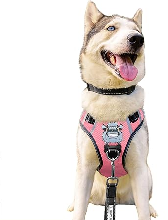 medium size dog harness