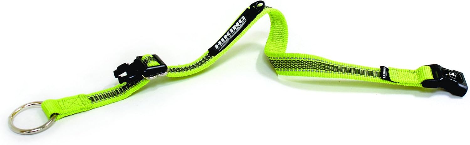 Croci Venture Halsband Für Hunde – Mit Reflektor & Gummi, Verstellbar, Rot, 20 Mm Breit, 360–480 Mm Umfang