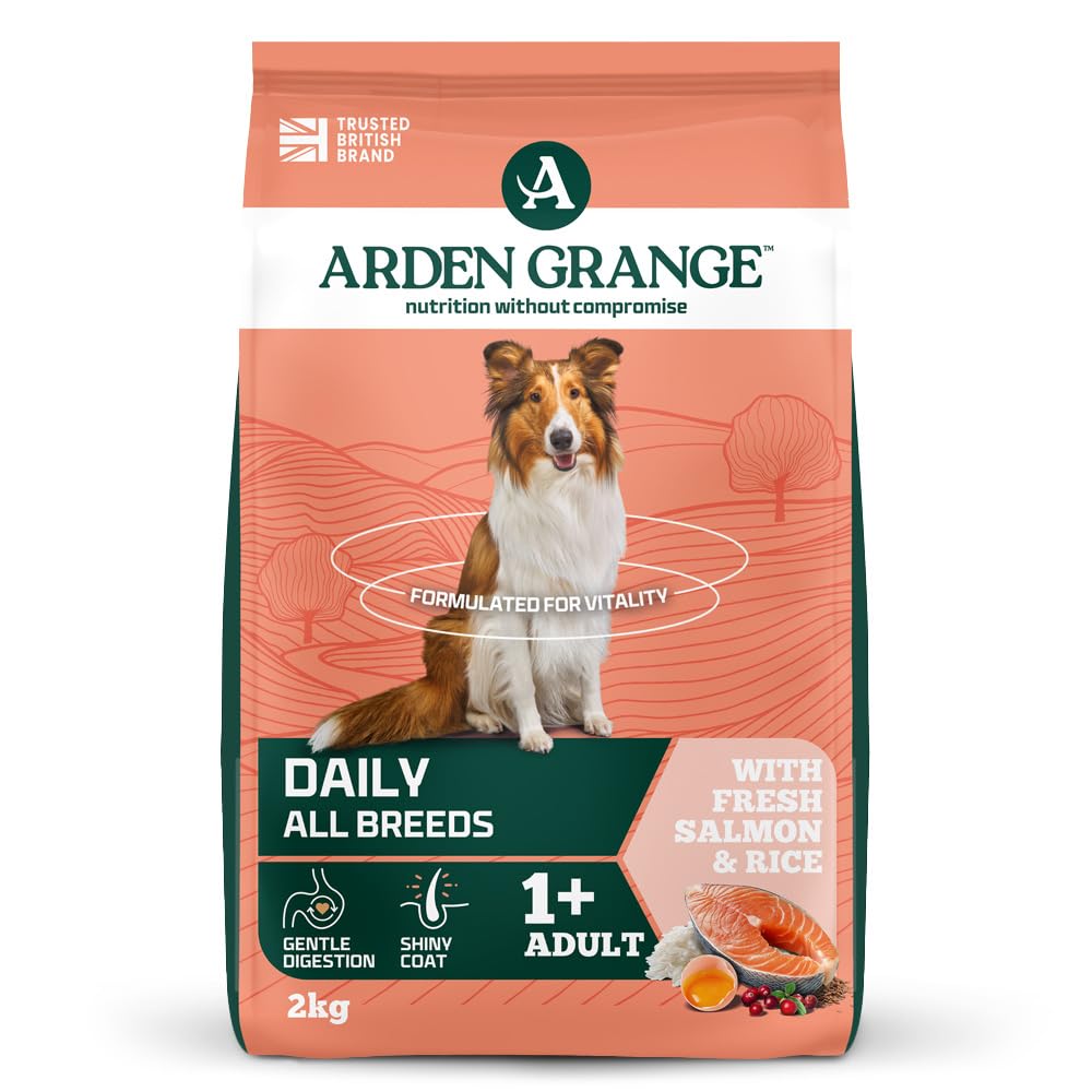 Arden Grange Adult Fresh Salmon and Rice, Clear, 2 kg (Pack of 1)