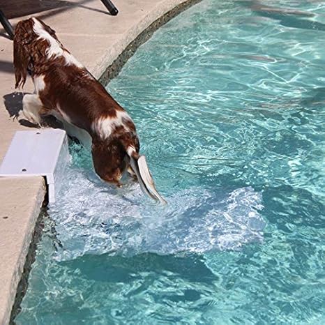 pool steps for dogs