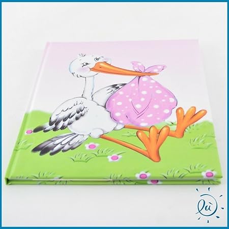 Albalu Italia Album Nascita Battesimo Bimba Con Cicogna Rosa E Sole Misura 23x27 Cm Amazon It Casa E Cucina