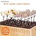 Simple Home Co. SimpleHomeCo. Premium Mini Plastic Forks for Appetizers - 500 Count 4 Inches - Stainless Steel Finished Silver Disposable - Perfect for Tastings and Desserts