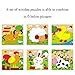 rolimate Educational Preschool Wooden Cube Block Travel Jigsaw Puzzles - Dog Sheep Duck Chicken Rabbit Dairy Cow, Birthday gift toy for Age 3 4 5 6 7 Years Old and Up Toddlers Kids Baby Boy