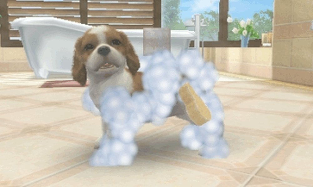 Nintendogs + Cats: Golden Retriever and New Friends