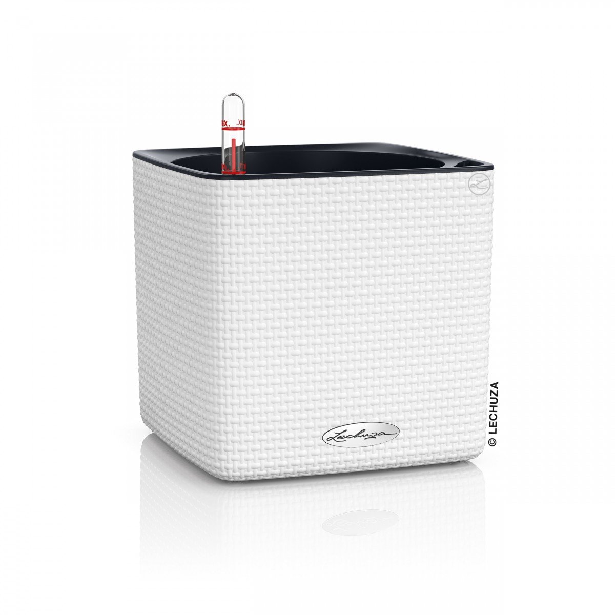 LECHUZA Self Watering Plant Pot Indoor CUBE Color 16 Plastic Small Flower Herb Planter without Drainage Hole H16 L17 W17 cm White