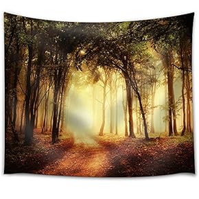 Path Leading to a Forest That is Illuminated by The Sun - Fabric Tapestry, Home Decor - 51x60 inches