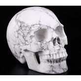 Skullis 5.0