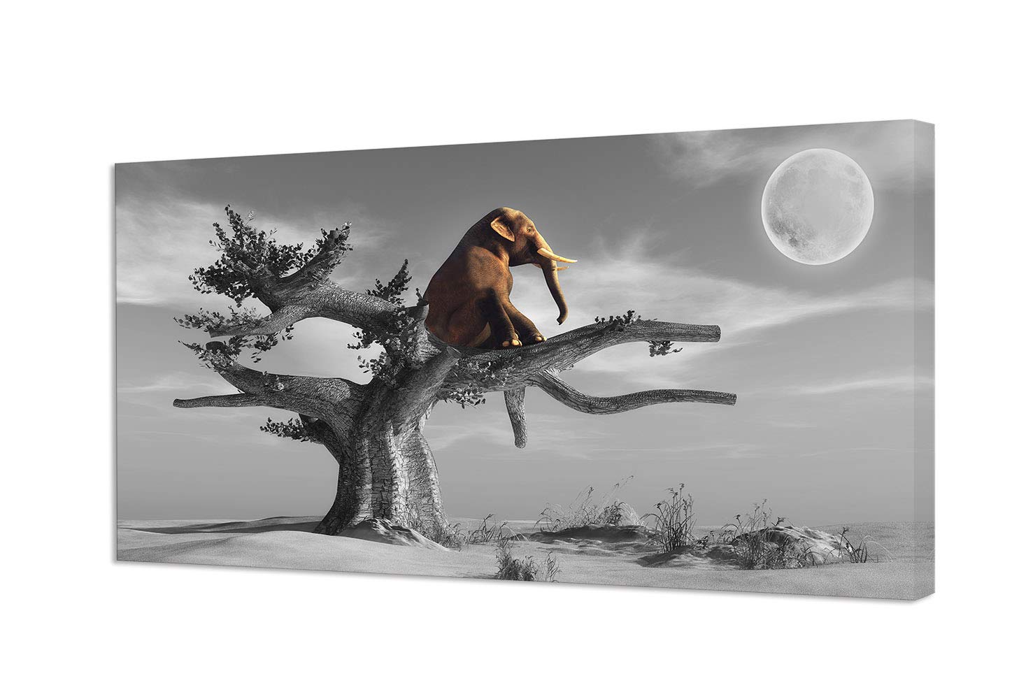 Best Wall Art Home Office