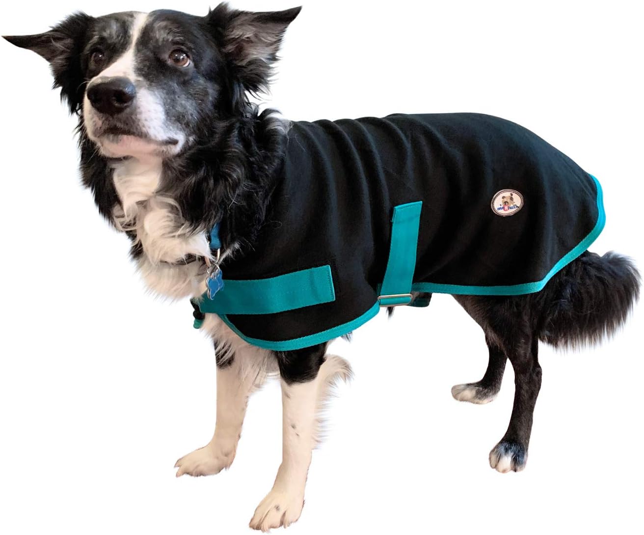 hills prescription cd