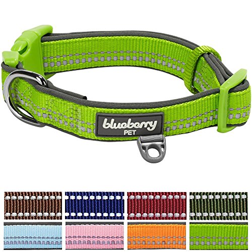 Blueberry Pet 8 Colors Soft & Comfy 3M Reflective Pastel Color Padded Dog Collar, Baby Green, Medium, Neck 14.5"-20", Adjustable Collars for Dogs
