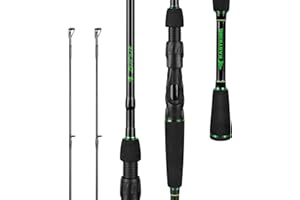 KastKing Zephyr Dual Tip Fishing Rod, Lightweight KastFlex IM6 Graphite Spinning & Casting Rod, Fuji O-Ring Guide, Dual Tips Section for Different Powers, Drop Shot Hook Keeper, EVA Grip