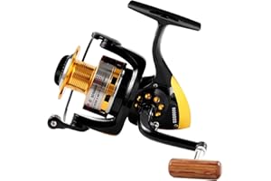 Diwa Spinning Fishing Reels for Saltwater Freshwater 1000 2000 3000 4000 5000 6000 Series Fishing Spool Left/Right Interchangeable Trout Carp Spinning Reel Light and Smooth