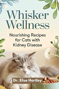 kindle best category lists