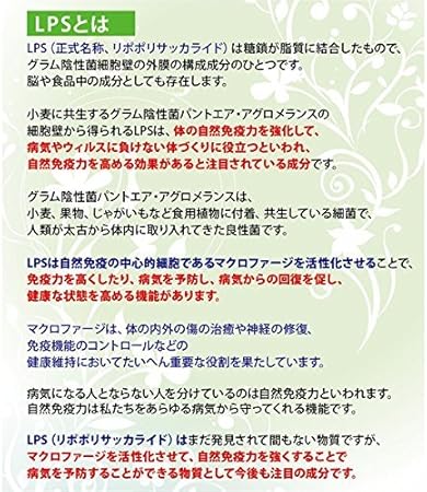 Amazon 敏感肌 に Lps リポポリサッカライド 化粧品 Lpsバイタル クリーム Hdステージ 50g パラベンフリー とかち美白研究所 ボディクリーム 通販