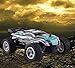 RC Truck,ESGOT ES-V315 1:24 2.4GHz 2WD High Speed Radio Remote Control Electric Vehicle