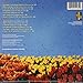 Easy Star's Lonely Hearts Dub Band [Vinyl]