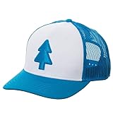 Gravity Falls - Dipper's Hat - Curved Trucker