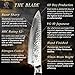 Damascus Chef Knife by Aces - Japanese VG10 Carbon Stainless Steel, 67 Layer Super Sharp Steel 8