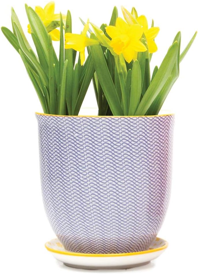 Chive ‘Liberte’ Ceramic Planter Pot — Cute, Beautiful Plant Pots for Indoor & Outdoor Flowers & House Plants — Blue