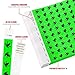 WristCo Green Frogs Tyvek Wristbands for Events - 500 Count - Comfortable Tear Resistant Paper Bracelets ID Wrist Bands for Concerts Festivals Admission Party Identification Tours