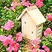 Gardirect Wildlife Wooden Ladybird House, Lacewing Home, Natural Insect Hotel