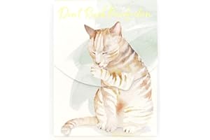 Punch Studio Purrfection Pocket Notepad (46714)