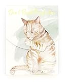 Punch Studio Purrfection Pocket Notepad