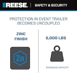 REESE Towpower 74059 Towing Safety Chain, 5,000